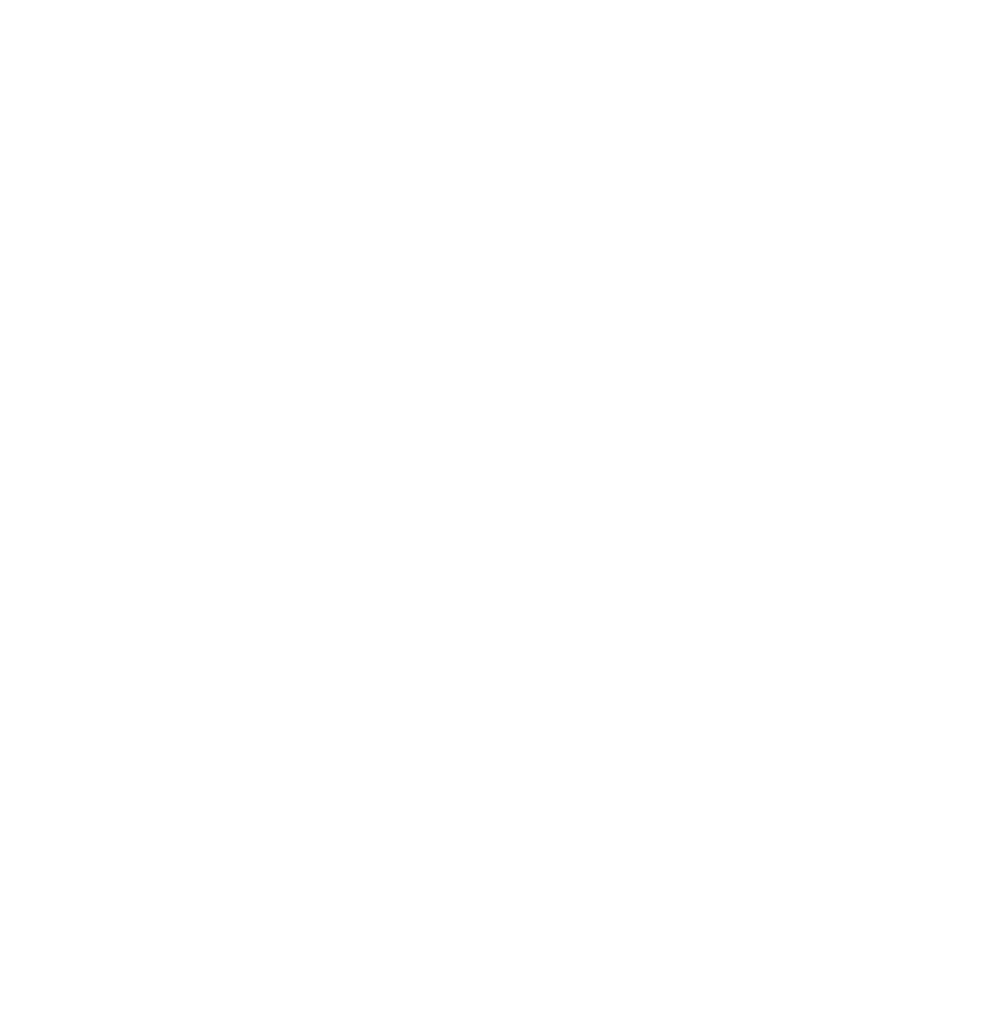 Public Housing Authorities